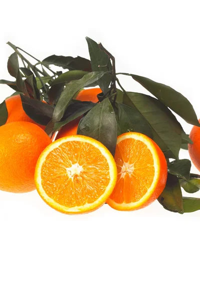 Friss narancs elszigetelt — Stock Fotó
