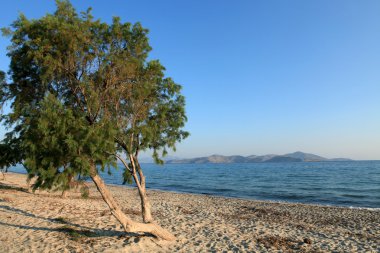 Greece. Kos island. Tigaki beach.