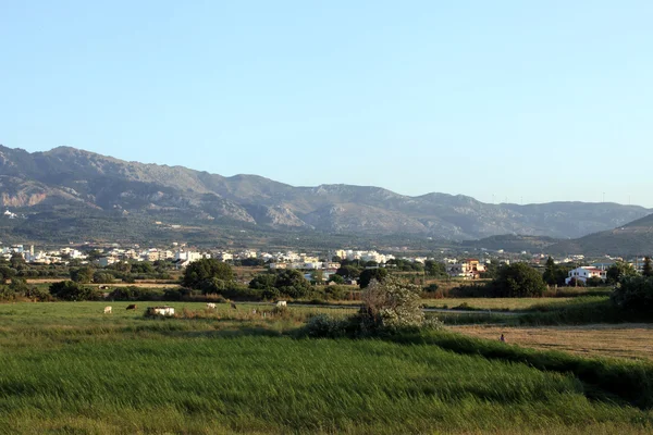 tigaki zia köyüne gelen görüntüleyin. Kos Adası