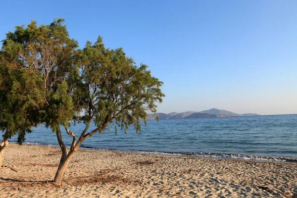 Greece. Kos island. Tigaki beach. — Stockfoto