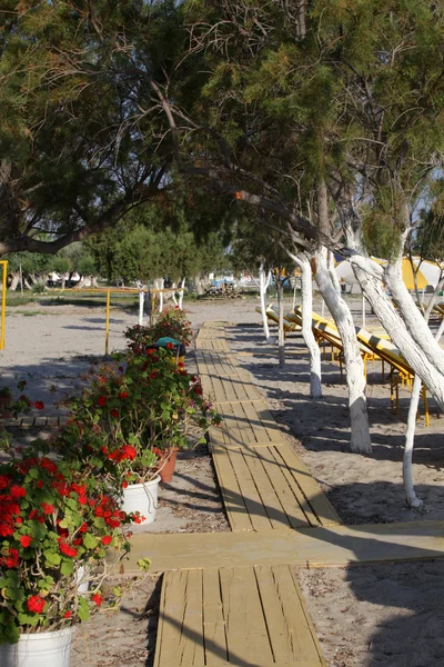 Grekland. ön Kos. Tigaki beach. — Stockfoto