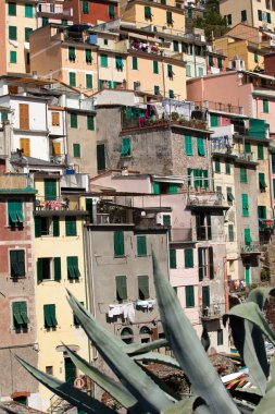 Riomaggiore - İtalya 'nın Cinque Terre kentlerinden biri