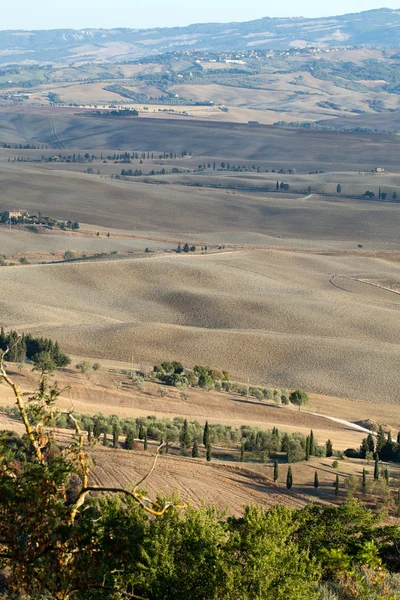 Le paysage de la Toscane. Italie — Photo