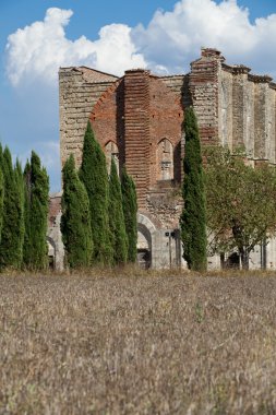 Abbey san galgano, Toskana, İtalya