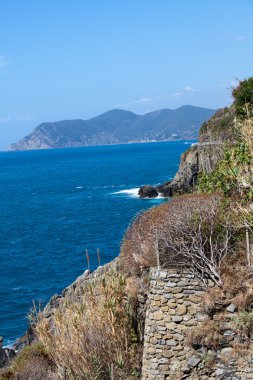 riomaggiore kayalıklardan. Cinque terre, liguria, İtalya