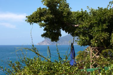 Riomaggiore - İtalya 'nın Cinque Terre kentlerinden biri