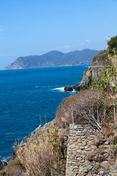 Cliffs in Riomaggiore. Cinque Terre, Liguria, Italy — Stock Photo, Image