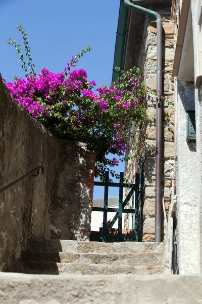 Riomaggiore - uma das cidades de Cinque Terre em itália — Fotografia de Stock