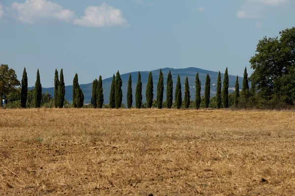 Il paesaggio della Toscana. Italia — Foto Stock