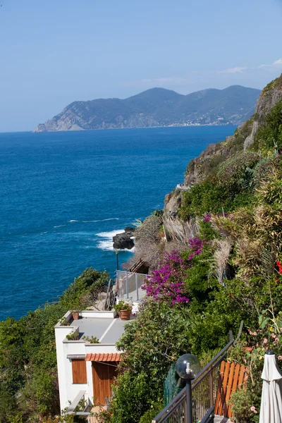 Hermosa costa en Cinque Terre, Liguria, Italia — Foto de Stock