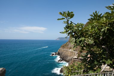 Cinque Terre, Liguria, İtalya 'da Güzel Kıyı Çizgisi