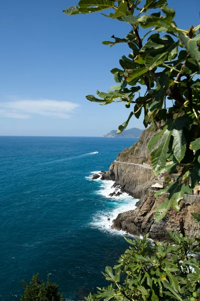 Prachtige kustlijn in Cinque Terre, Ligurië, Italië — Stockfoto