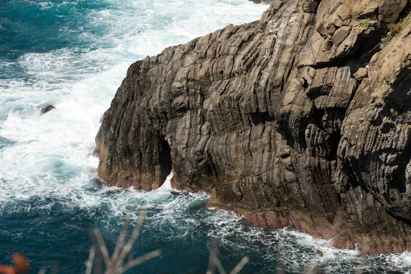 이탈리아 리구리아의 신 케 테레에 있는 아름다운 해안 — 스톡 사진