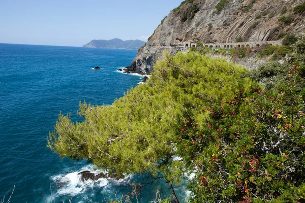 Cinque Terre - strada dell'amore. Liguria — Foto Stock