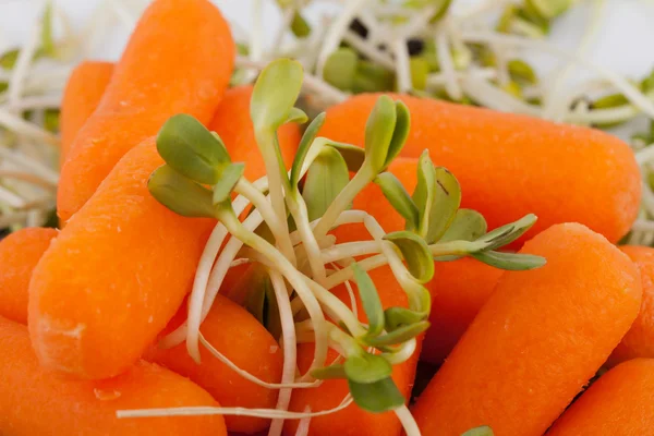 Verse alfalfa spruiten en wortel geïsoleerd op witte achtergrond — Stockfoto