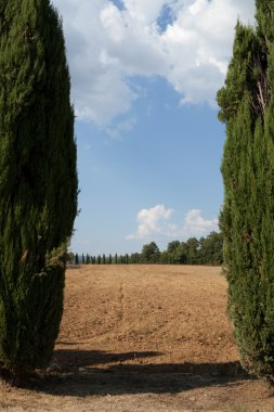 Toskana 'nın manzarası. İtalya