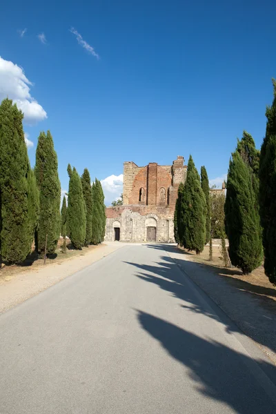 Аллея возле аббатства Сан-Гальгано — стоковое фото