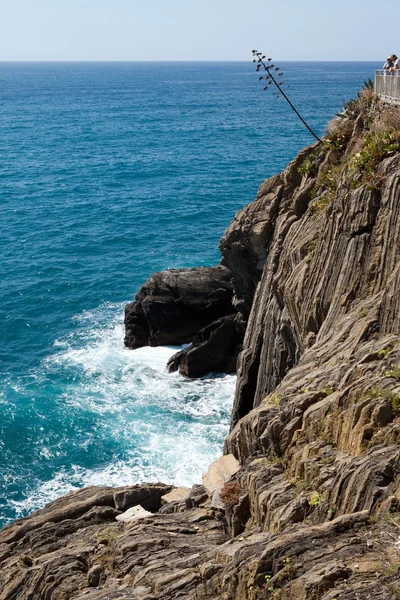 Côte des Cinque Terre. Ligurie — Photo