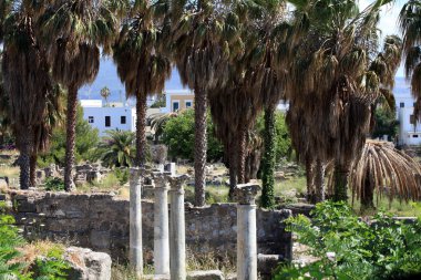 Dodecanese 'deki Kos Adası' ndaki antik agora kalıntıları.