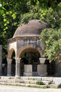 Kos kasabasındaki Hipokrat Uçak Ağacı 'nın yaylası. Yunanistan
