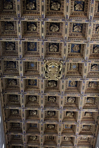Pisa krásně zdobený strop uvnitř katedrály — Stock fotografie
