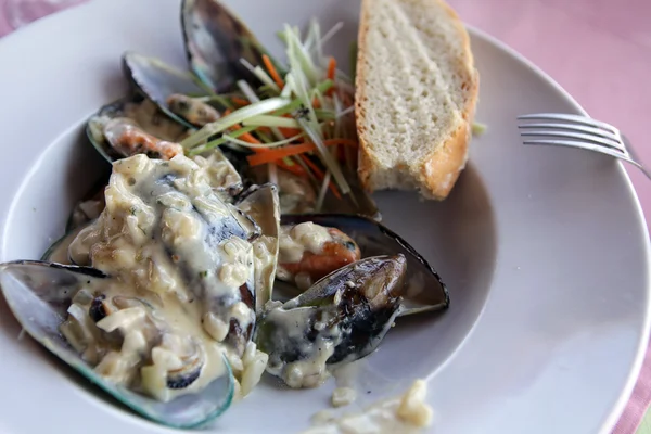 Delicious mussels in cream sauce — Stockfoto