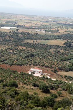 bir Tigaki göster. Kos Adası Yunanistan