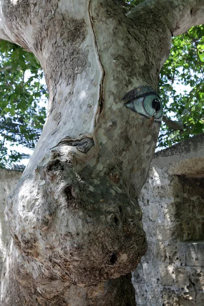 Rodos - drzewo Platan patrząc na turystów — Zdjęcie stockowe