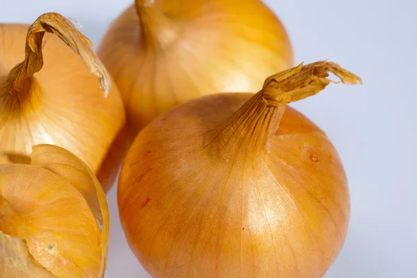 Onions isolated over white background — Stock Photo, Image