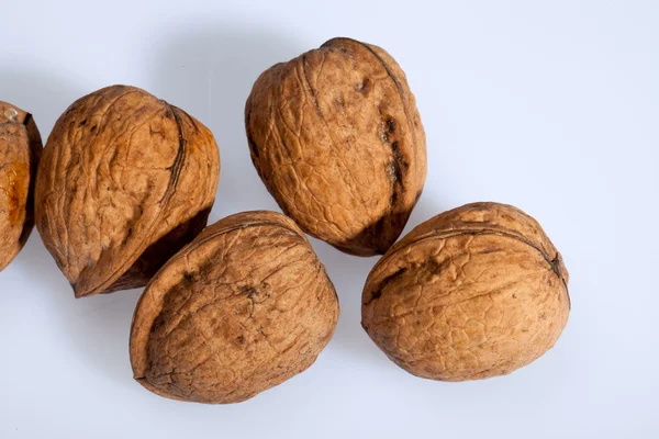 Close up of many scattered walnuts. — Stock Photo, Image