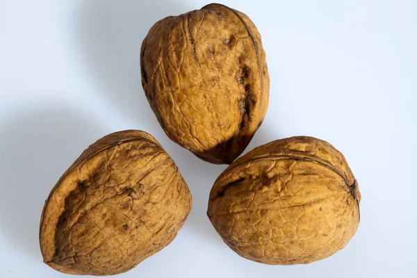 Zblízka z mnoha rozptýlených vlašské ořechy. — Stock fotografie