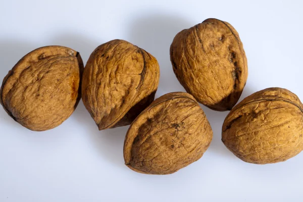 Zblízka z mnoha rozptýlených vlašské ořechy. — Stock fotografie