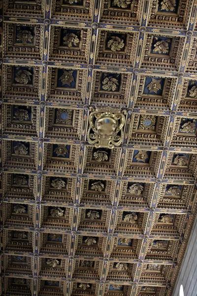 Pisa-schön geschmückt die Decke im Inneren der Kathedrale — Stockfoto
