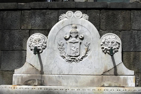 Castelnuovo di garfagnana - Brunnen auf der piazza umberto — Stockfoto