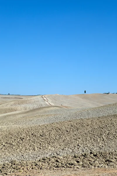 Landskapet i Toscana. Italien — Stockfoto