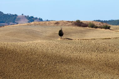 pienza ve monticchiello çevresindeki tepeler