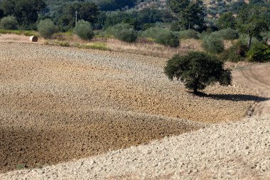 Toskana 'nın manzarası. İtalya