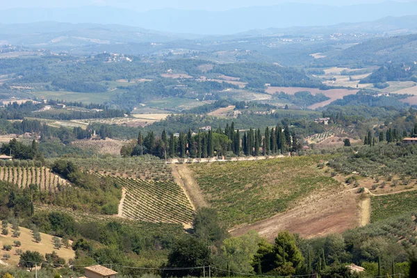 San gimignano çevresindeki tepeler — Stok fotoğraf