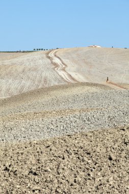 Toskana 'nın manzarası. İtalya