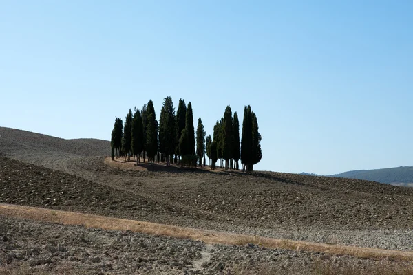 Die Landschaft der Toskana. Italien — Stockfoto