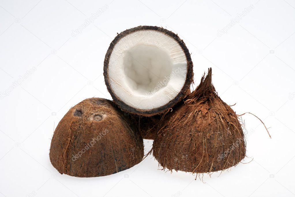 Coco nut isolated