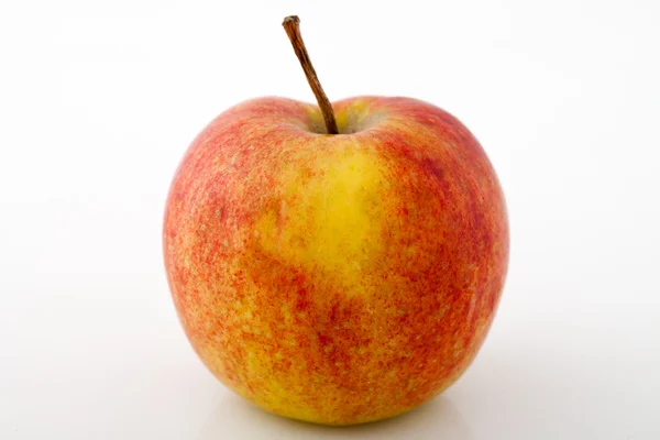 stock image Red apple on a white background