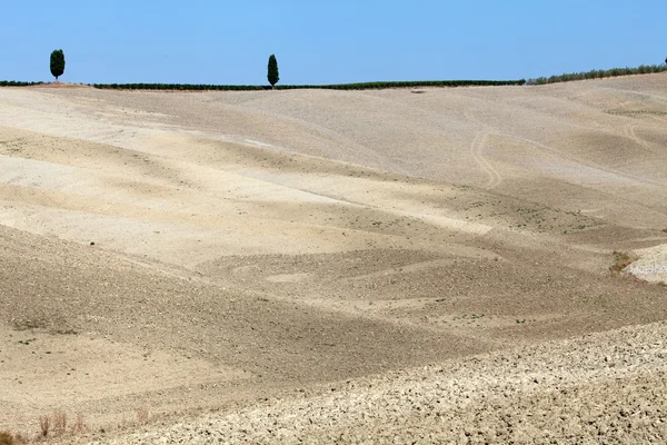 Landskapet i Toscana. Italien — Stockfoto