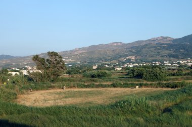 tigaki zia köyüne gelen görüntüleyin. Kos Adası