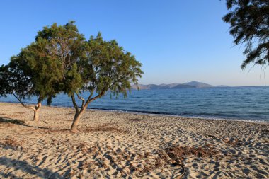 Greece. Kos island. Tigaki beach.