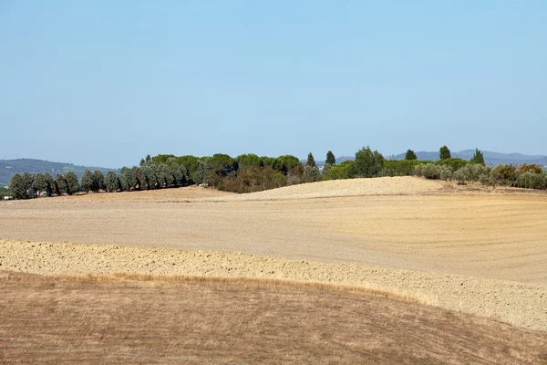 The landscape of the Tuscany. Italy — Stock Photo, Image