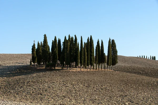 stock image The landscape of the Tuscany. Italy