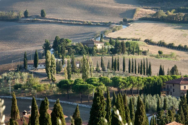 トスカーナの風景です。イタリア — ストック写真