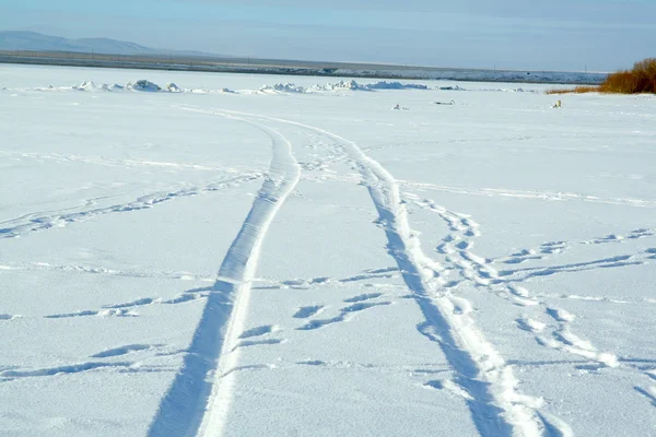 Шиномонтажні колії в снігу — стокове фото