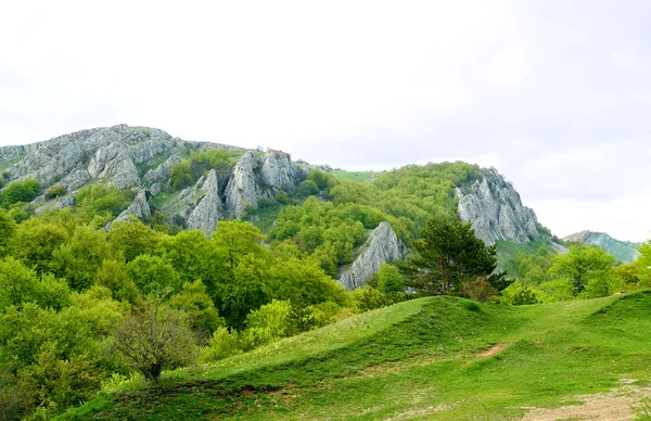 Panorama of Beautiful Mountain Landscape — Stok fotoğraf